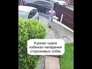 Слабонервным не смотреть! Курьер чудом избежал нападение сторожевых собак..