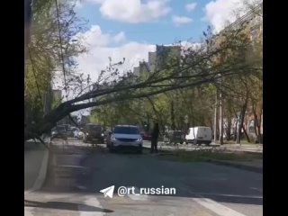 Последствия штормового ветра в Москве