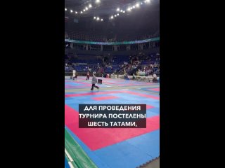 Новосибирская область принимает масштабные соревнования по каратэ «Кубок Успеха». Впервые за свою историю этот турнир проходит в