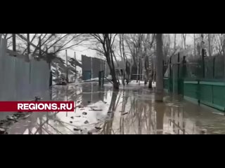 Собачий приют «Домашний» затопило в Ленинском округе 

Он находится в Ленинском округе, там содержится около 1300 собак. По слов