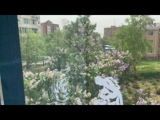 Видео от Движение Первых | город Волгодонск