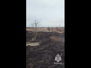 Сотрудники МЧС России ликвидировали возгорание сухой травы в Горловке и Амвросиевском районе