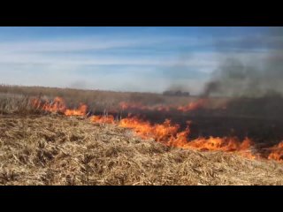 Паводок на территории нашего региона еще не завершился, но не смотря на это уже фиксируются случаи загорания сухой травы и мусор