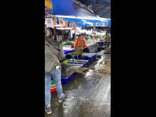 Video by ПАТТАЙЯ- LIVE ; Все о Таиланде, из Паттайи.