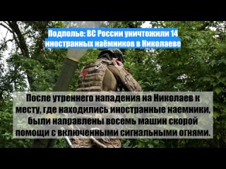 Подполье: ВС России уничтожили 14 иностранных наёмников вНиколаеве