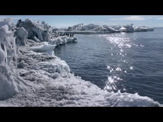 Антарктида: Год на льду. Документальный фильм.