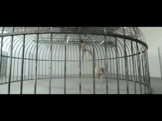 Sia - Elastic Heart feat. Shia LaBeouf  Maddie Ziegler (Official Video)