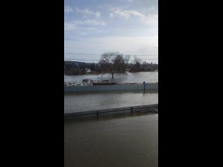 Челноково, СНТ Восход сегодня днем и вечером (видео)