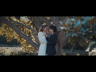 Slog2 Romantic Wedding and Standard LUTs