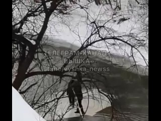 В Челябинской области несовершеннолетние устроили заплыв на льдине по местной речке.