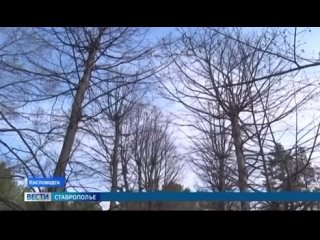 Видео от Администрация города-курорта Кисловодска