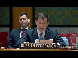 🇷🇺🇺🇳Из выступления Первого заместителя Постоянного представителя Д.А.Полянского на заседании Совета Безопасности ООН по сирийско
