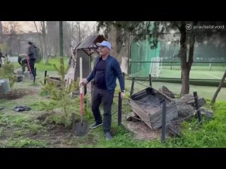 ️В  парке Ленинского комсомола Махачкалы сегодня, 7 апреля, высадили 96 деревьев - 72 сосны и 24 березы в память о погибших даге