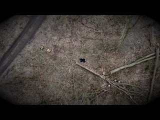 Project Pitchfork - Melancholia (Official Video).