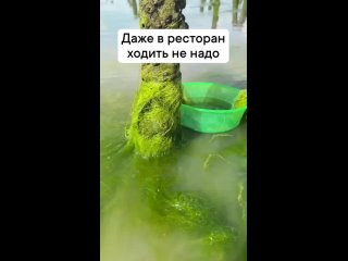 так дорого стоят в ресторанах