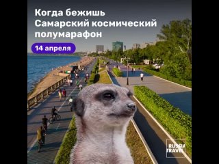 Космический полумарафон. Участвуют 3000 спортсменов из более чем 150 городов России. Маршрут — просто космос 🤩