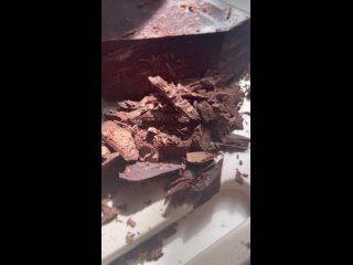 Video by Какао-бобы | Какао-масло | Агроимпекс-Трейд