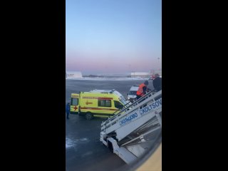 Самолёт, летевший из Омска в Москву, экстренно приземлился в Екатеринбурге