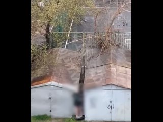 Видео от Краснодар Топор