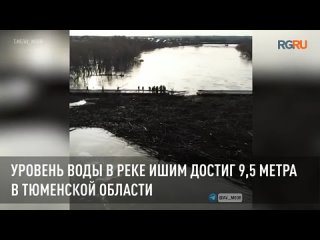 Уровень воды в реке Ишим достиг 9,5 метра в Тюменской области