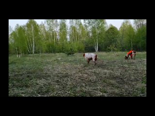 Видео Николая Линькова.mp4