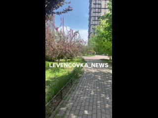 Video by Левенцовка_news