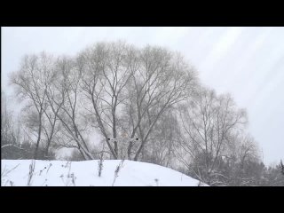 OMNIMAR - So Cold (OFFICIAL VIDEO) _ darkTunes Music Group