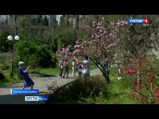 В Сочинском парке Дендрарий начался период весеннего цветения растений