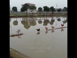 За последнюю так переживали все....