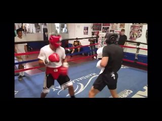 🎬Теофимо Лопес выложил видео старого спарринга с Роландо Ромеро🥊  #бокс #boxing