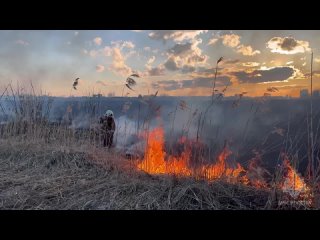 В Иванове пожарные ликвидировали пожар после поджога сухой травы