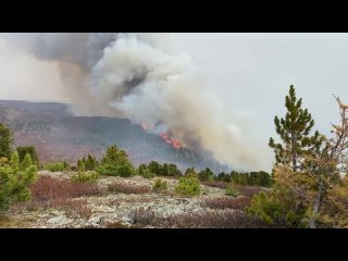 Видео от СТРИЖ media l Новости Улан-Удэ и Бурятии