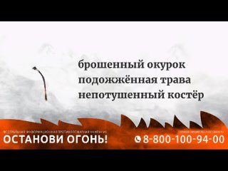 Video by Северский парк культуры и отдыха им. А.С.Пушкина