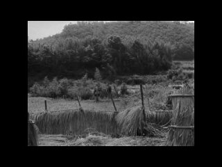 1954-12-23  - ’24/04/07 -Los 7 Samuráis -Película épica de Accion, del Japón medieval del prestigioso director Akira Kurosawa.