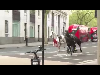 Кони Апокалипсиса в Лондоне: Белый конь символизирует приход Антихриста, Кровь на коне  война, Черный конь  голод