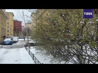 The snow cover was 11 cm (4.3 inches) deep in downtown St. Petersburg on the morning of April 20, the citys chief weather offic