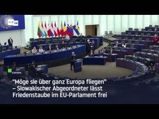 Mge diese Taube uns alle vereinen: Slowakischer Abgeordneter Radaovsk hlt Abschiedsrede vor EU-Parlament