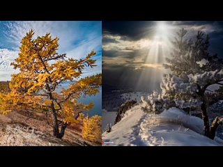 🥳🤓 “Нейропривет“ в нашем ток-шоу