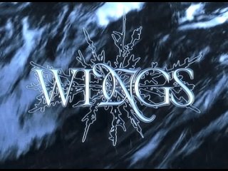 wings teaser