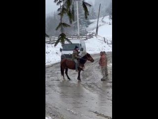 Смотришь на это видео и душа радуется. Лесникам из Закарпатья респект: навернули обухом по ТЦКашникам, порубали стёкла в их маши