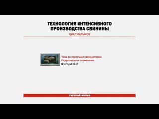 dvd-2.Уход за холостыми свиноматками. Исскусственное осеменение