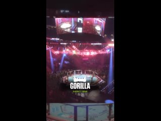Видео от GORILLA FIGHTING | MMA | Единоборства