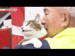 🇯🇵 В Японии коты заняли должности на ж/д станции