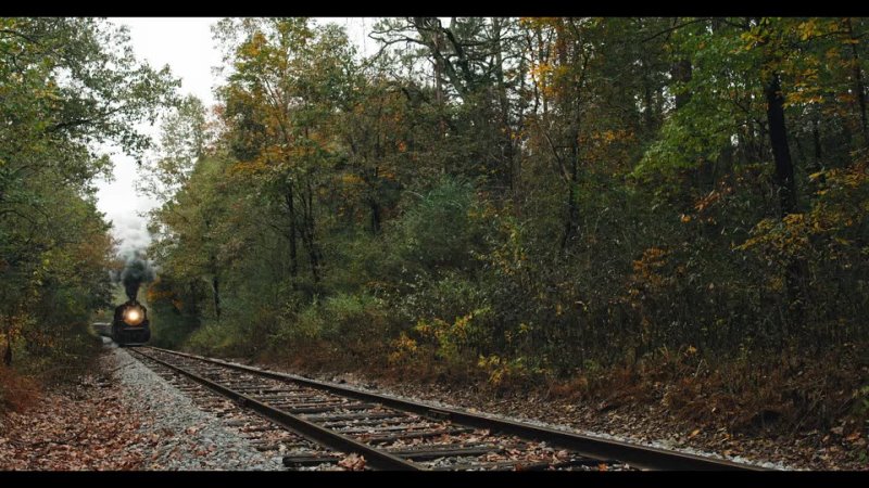 Shocking Blue, Never Marry A Railroad