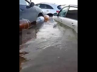 Житель страдающей от наводнений Оренбургской области придумал, как не дать своему скакуну утонуть.