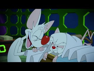 🎬 Animaniacs S07E21 🍿