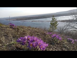 Путь домой река Гуселка - река Самара