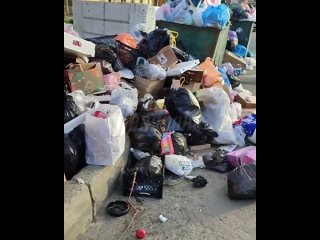Махачкалу заполонил запах гниющих отходов — в мусороуборочных компаниях сильно сократился штат сотрудников