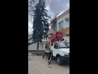 Дерево рухнуло на здание ЦУР