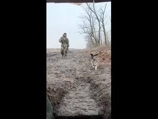 Видео от Военная служба по контракту  от ХМАО. Армия.